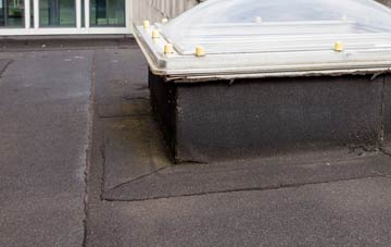 disadvantages of Sheddens flat roofs