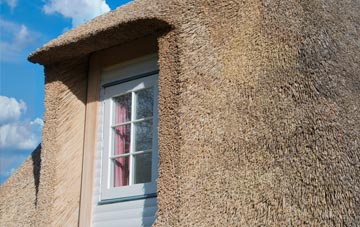Sheddens thatch roof disadvantages